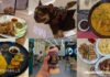 6 Pet-Friendly Food Destinations in SM City Manila To Munch on Good Food With Your Furbaby